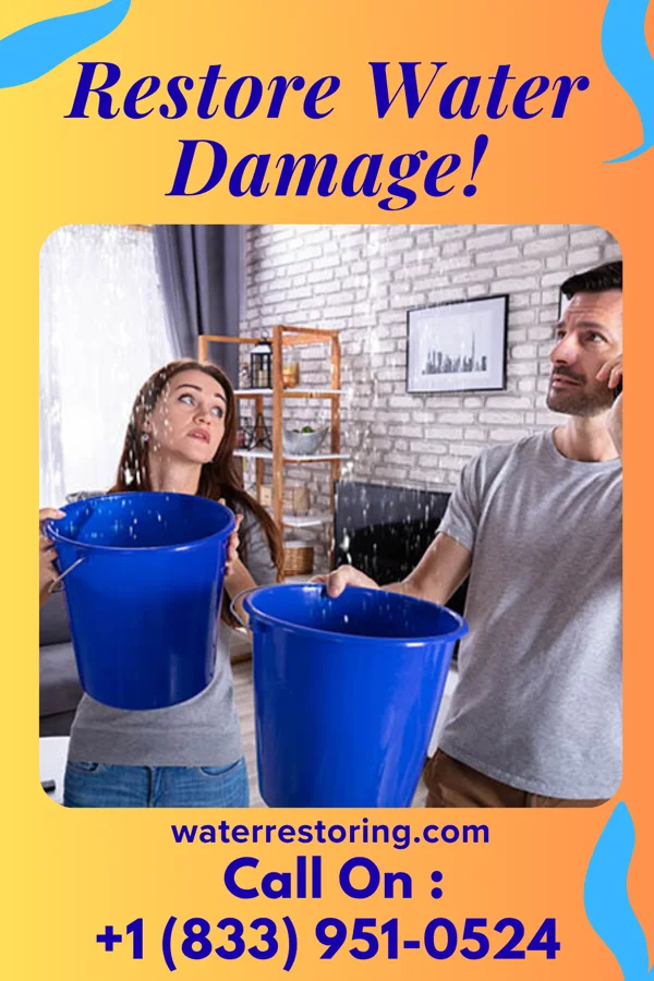 water restoration Trusted Sewage Cleanup Brothers Luverne